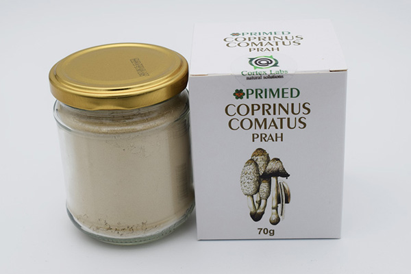 Coprinus-comatus-prah-70g