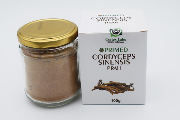 Cordyceps-sinensis-prah-100g